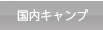 国内キャンプ